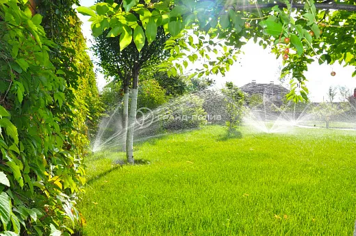 Автополив на даче фото №11