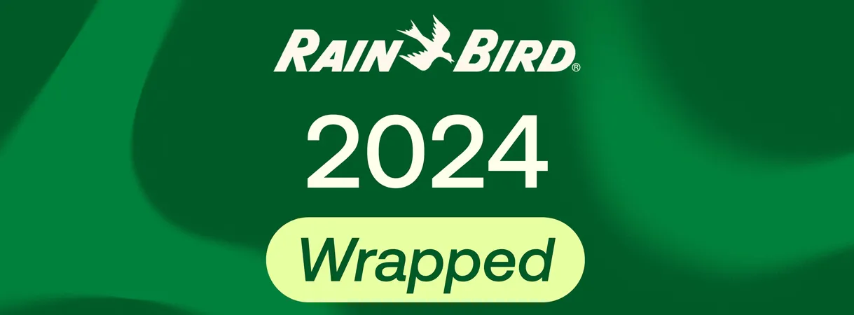 Rain Bird 2024: Итоги года