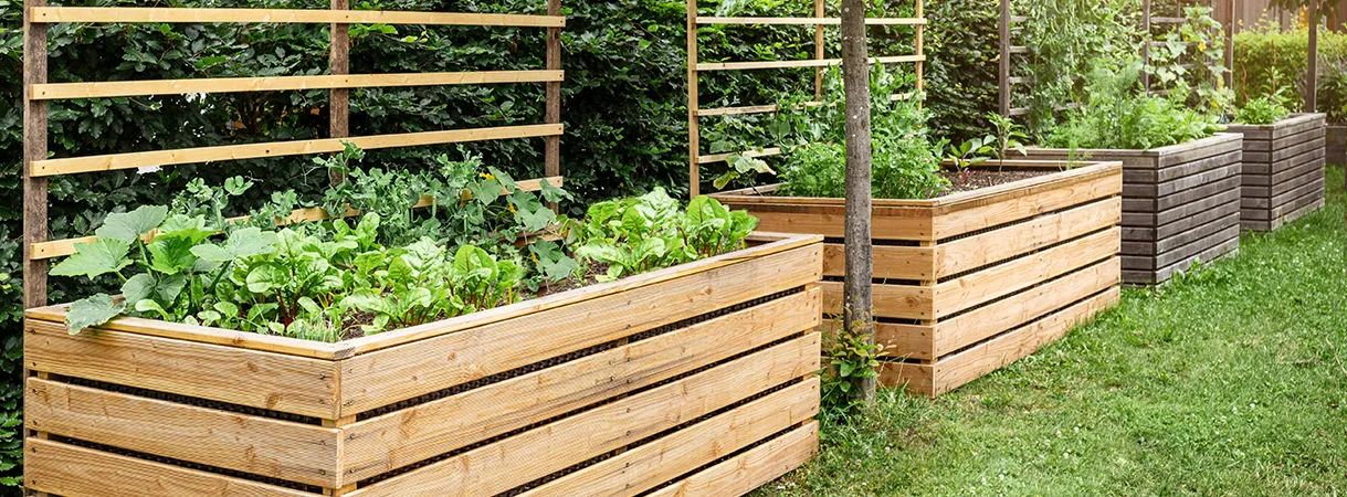 Жить в гармонии: преимущества совместных посадок Жить в гармонии: преимущества совместных посадок