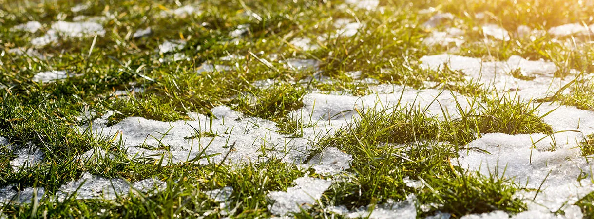 Когда весной снова включать систему полива: советы эксперта