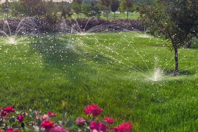 Автополив на даче