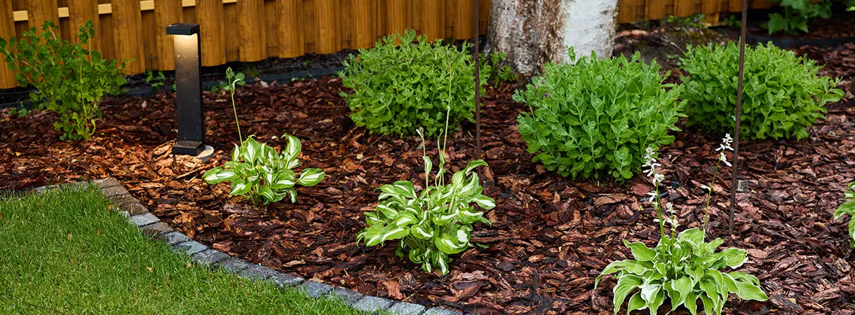 Как работает мульча: 4 функции мульчи в вашем саду