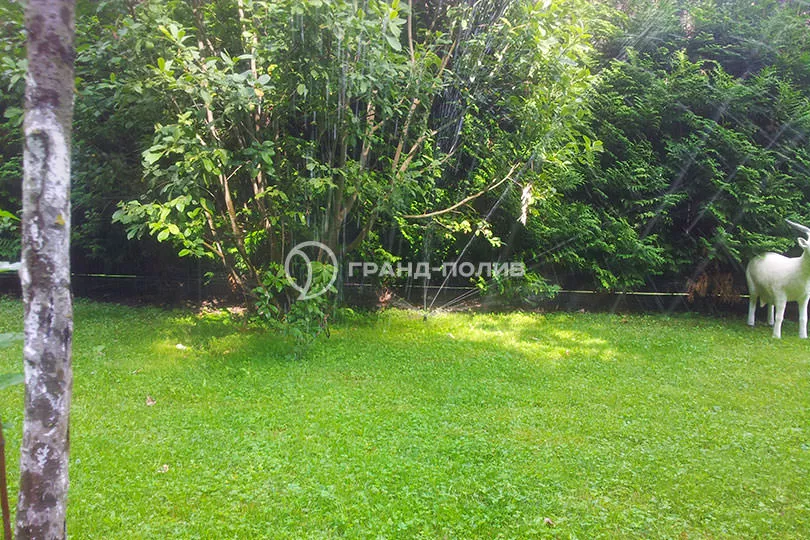 Пушкинский городской округ, с. Ельдигино фото №4