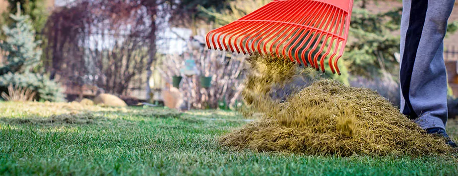 Вычесывание газона