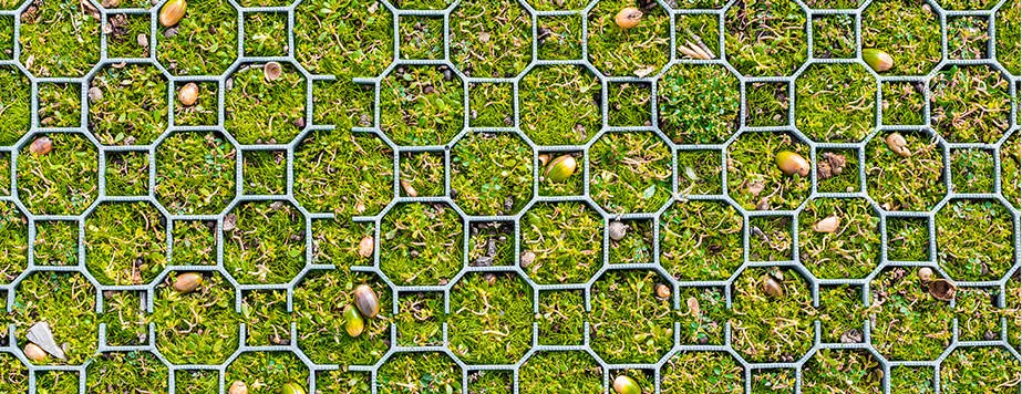 Решетка с гаоном