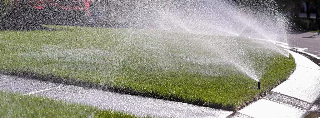 Мокрые дорожки от автополива