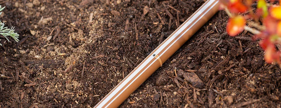 Полив альпийской горки