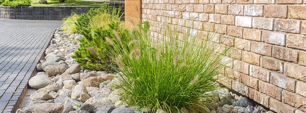 Камень для декорирования теневой зоны