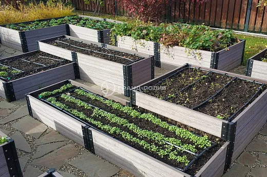 Монтаж капельного полива фото №3