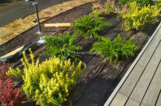 Монтаж капельного полива фото №1