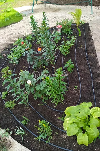 Монтаж капельного полива фото №18