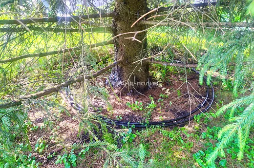 Монтаж капельного полива фото №11