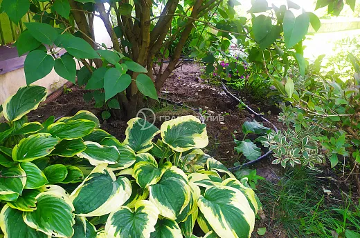 Монтаж капельного полива фото №10