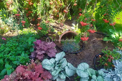 Монтаж капельного полива фото №12