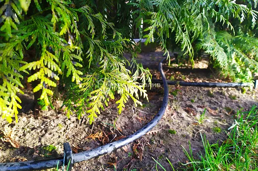 Монтаж капельного полива фото №9