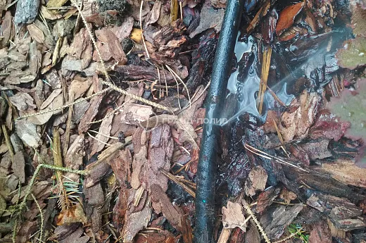 Обслуживание автополива фото №4