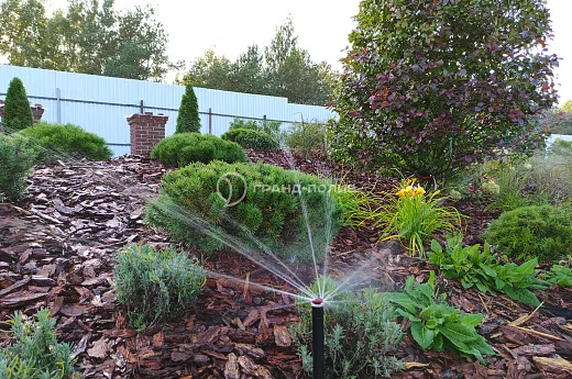 Автополив под ключ фото №2