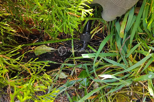 Обслуживание автополива фото №6