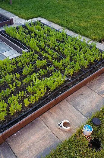 Монтаж капельного полива фото №16