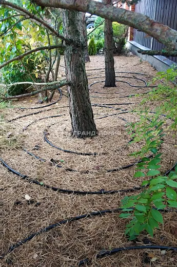 Монтаж капельного полива фото №15