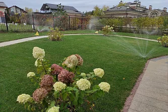 фото №1  фото №1