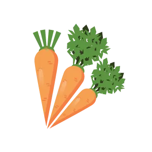 Морковь (Carrots)