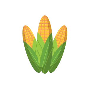 Кукуруза (Corn)