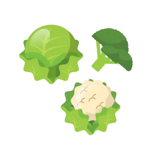 Капуста (Cabbage)