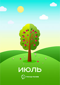 Газон в июле