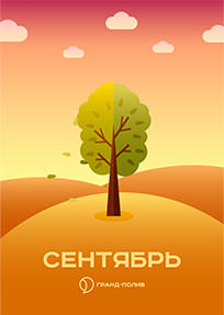 Газон в сентябре