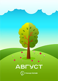 Газон в августе