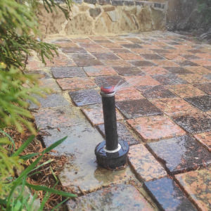 Дождеватель внутри дорожки Несогласованность работ по прокладке автополива и обустройства дорожек