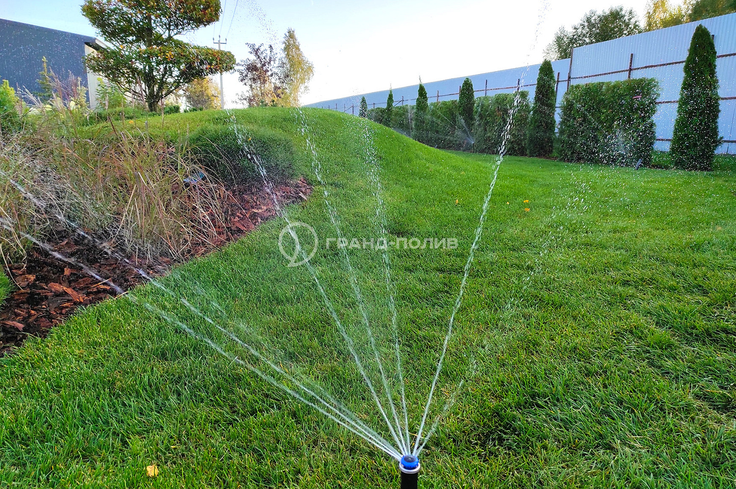 Автополив под ключ фото №4