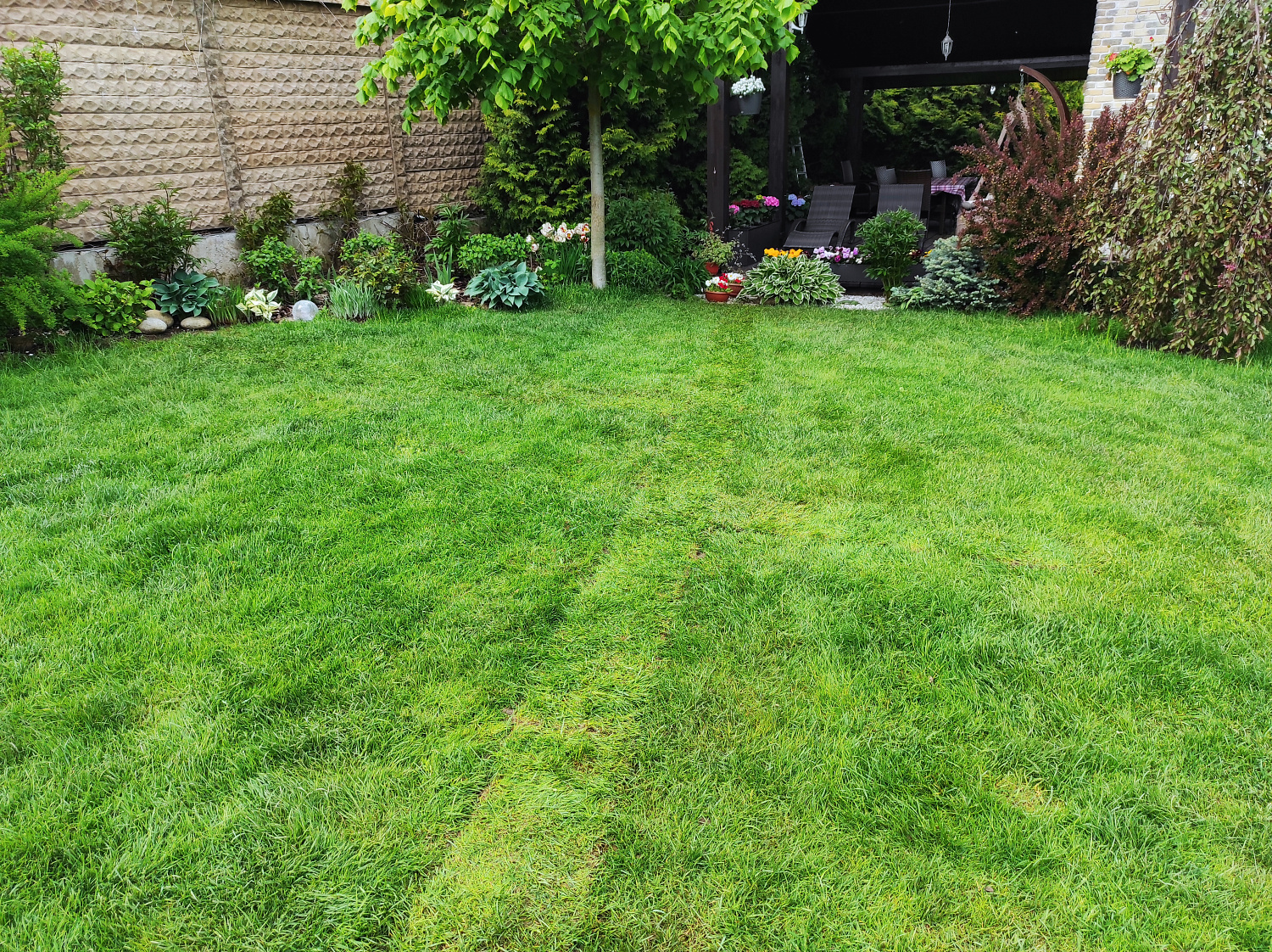 Дайджест «Гранд-Полив» за май 2022