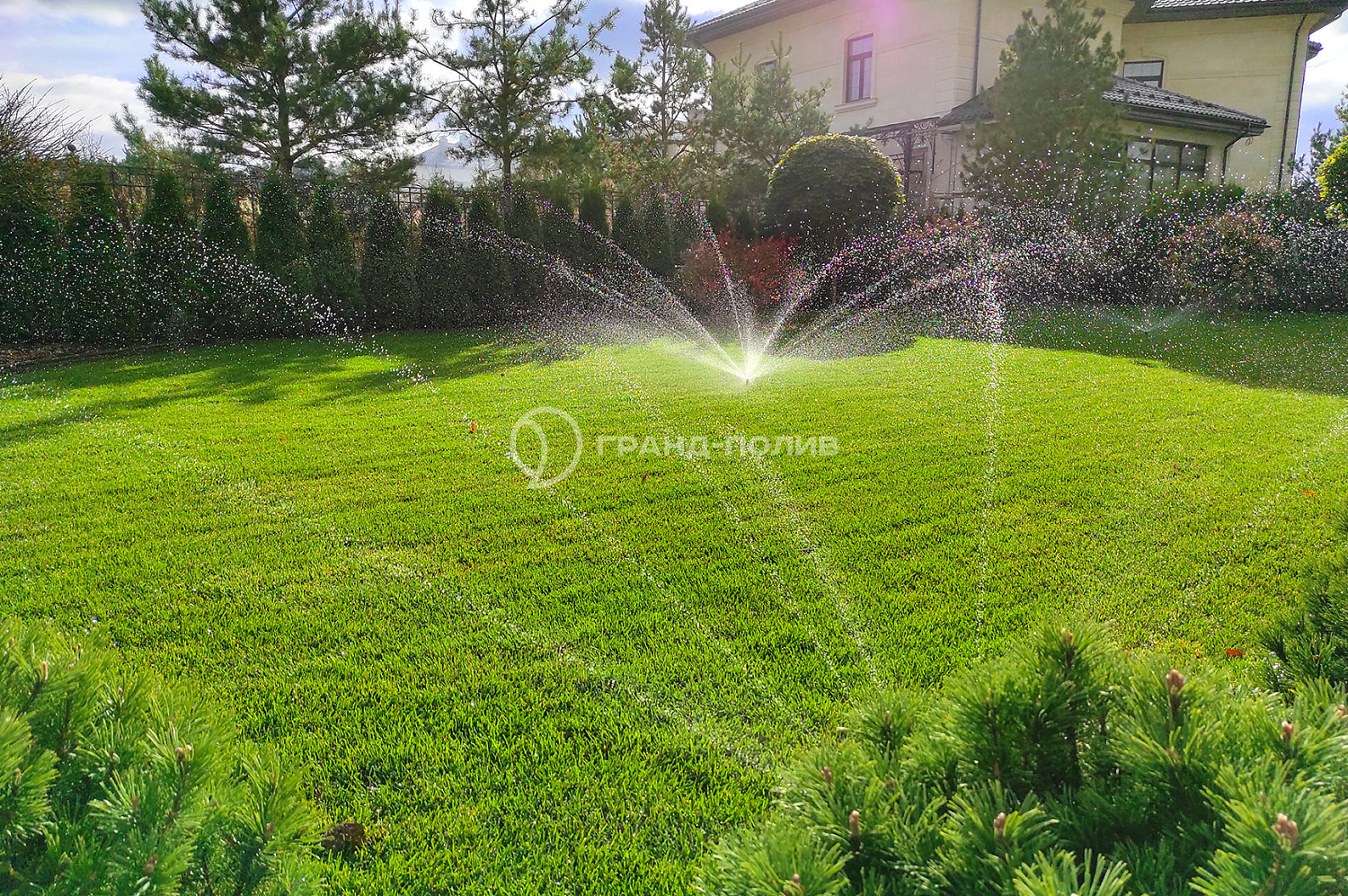 Автополив под ключ фото №1