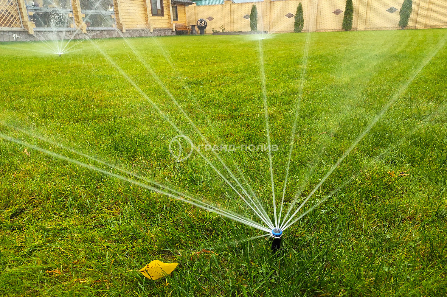 Автополив под ключ фото №10