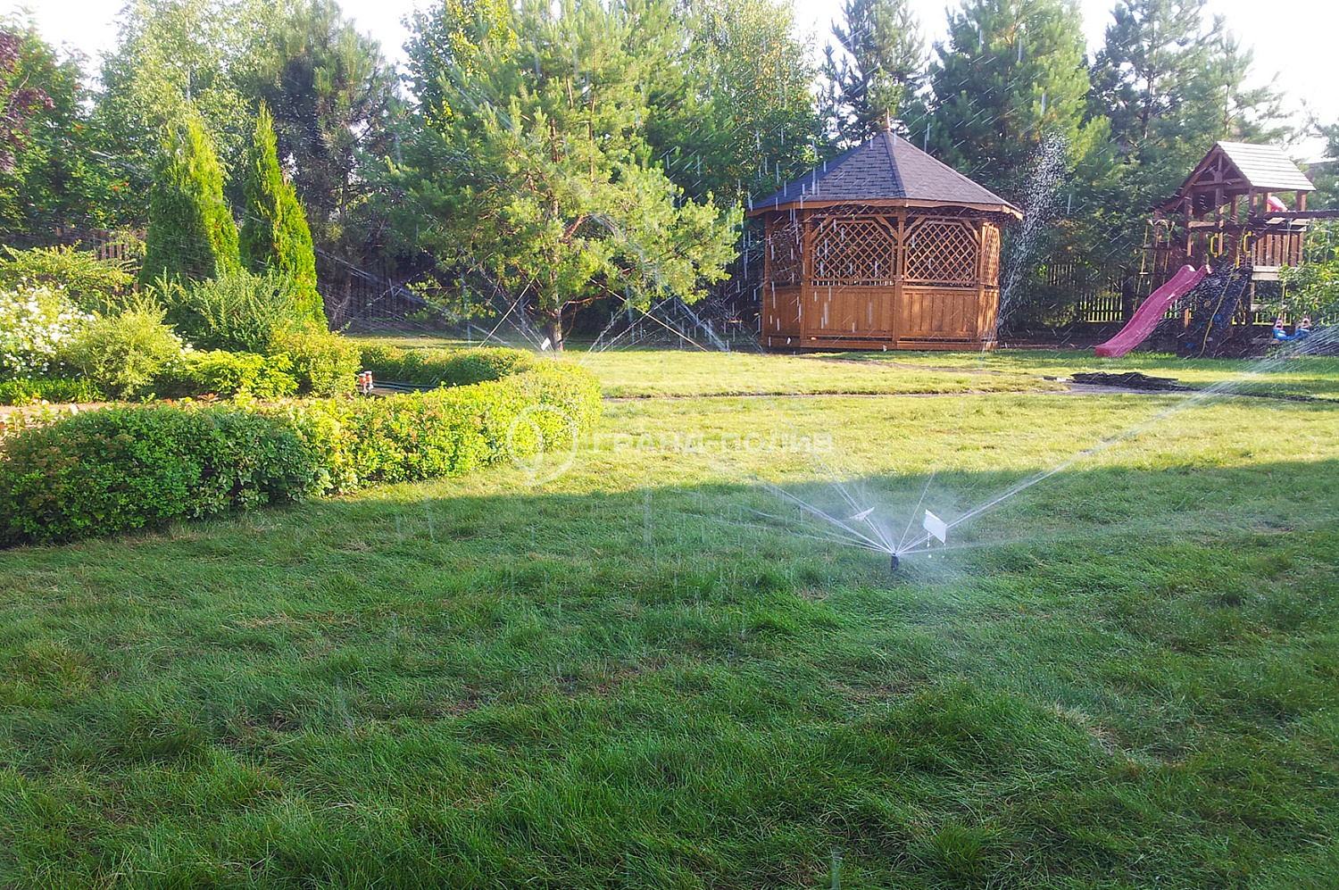 Автополив под ключ фото №9